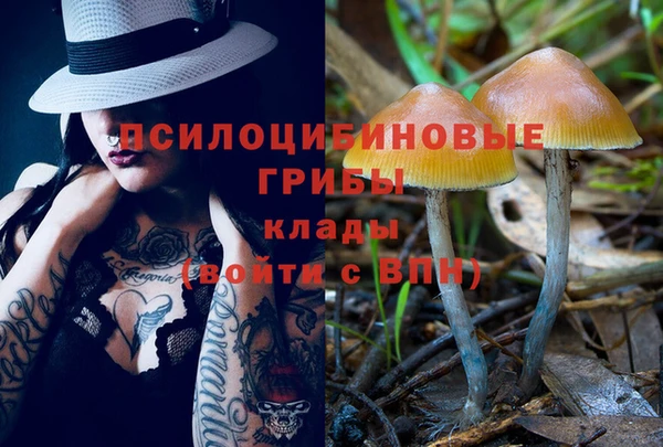 МДМА Богородицк